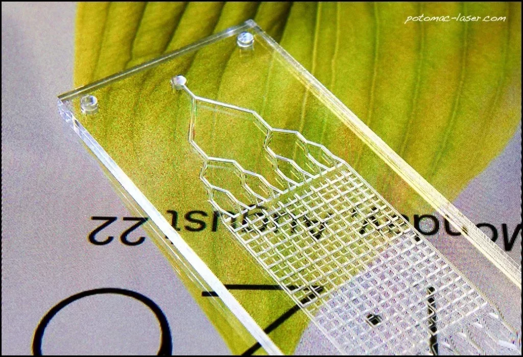 Microfluidic Device to counter the Antimicrobial Resistance (AMR) crisis in healthcare.
