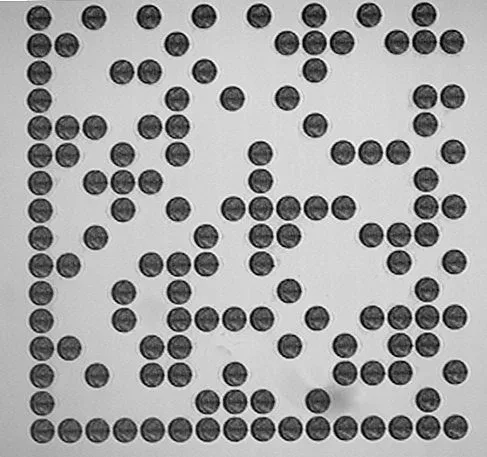 2D Data-Matrix Barcode on Glass: 110 µm Dots